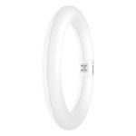 Osram Tube LED T9 Circulaire (EM/Direct 230V) 11W 1320lm - 865 Lumière Du Jour | Équivalent 22W