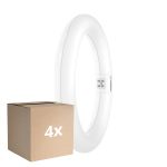 Lot 4x Osram Tube LED T9 Circulaire (EM/Direct 230V) 11W 1320lm - 840 Blanc Froid | Équivalent 22W