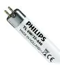 Philips T5 Short 6W - 640 Blanc Froid | 21cm