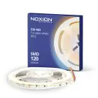 Noxion Rubans LED Naga 5 Mètre 24V - 120LEDs/m - 9.6W/m - 930-965 Variable Blanc | 8mm - IP20 - Meilleur Rendu Des Couleurs - SMD2835