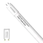 Noxion Tube LED T8 Avant (EM/Direct 230V) Standard Output 19W 2300lm - 840 Blanc Froid | 150cm - Équivalent 58W
