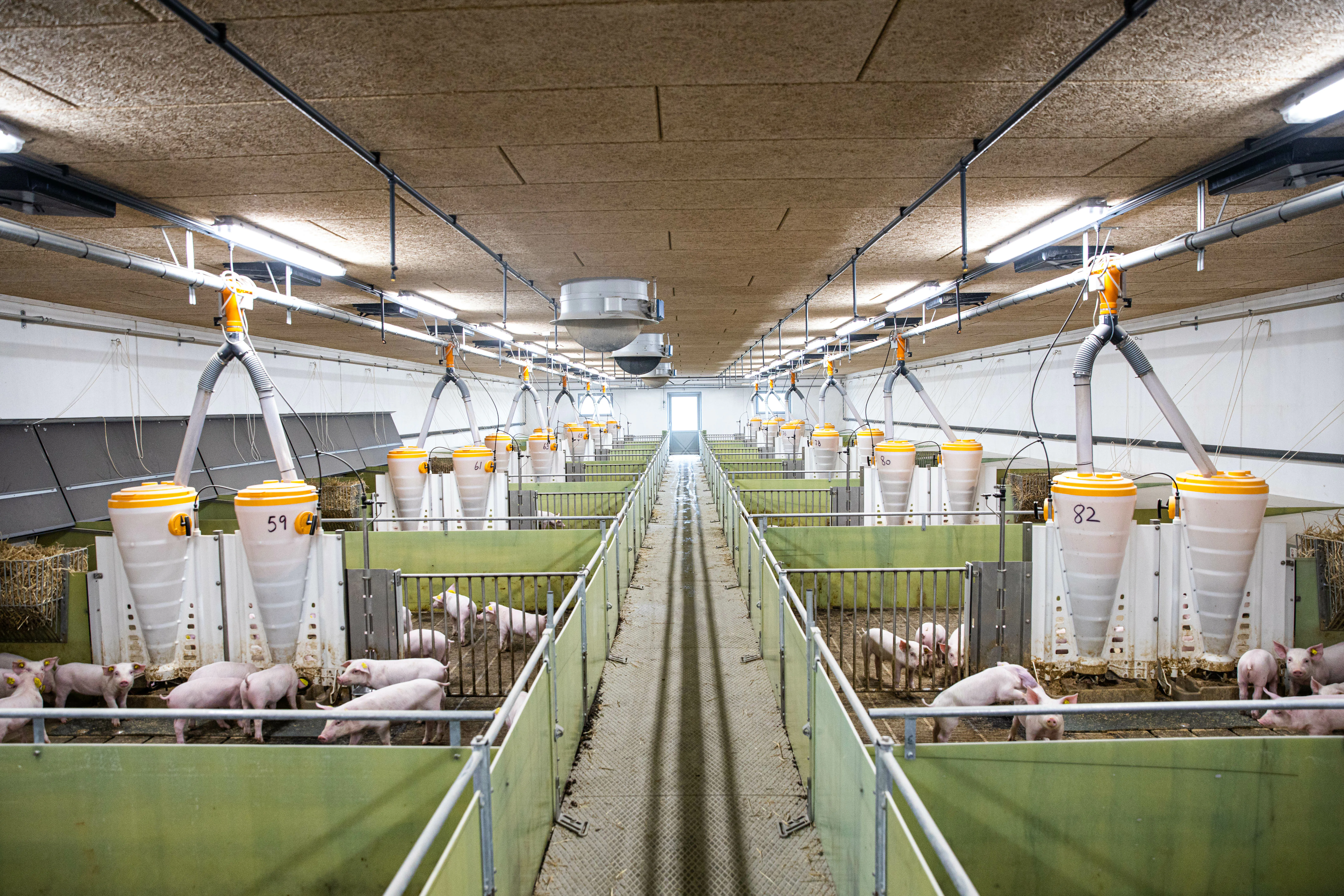 eclairage exploitation agricole