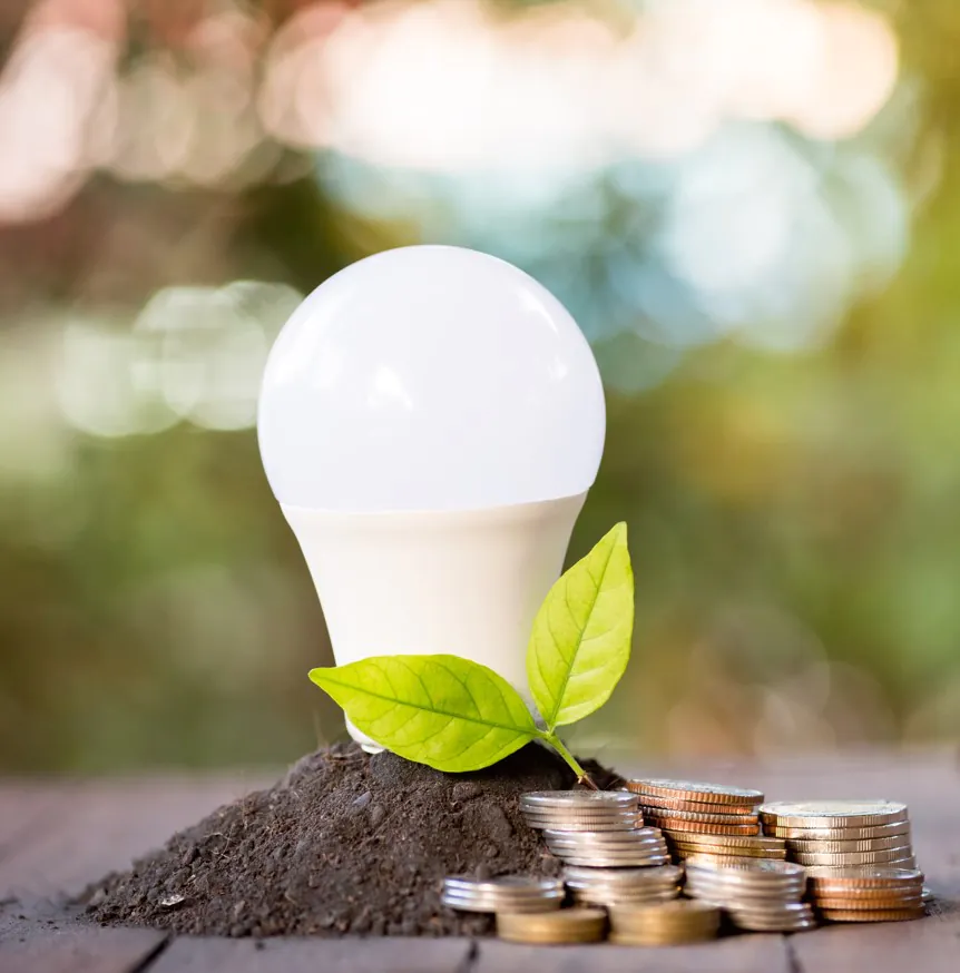 eclairage led écologique