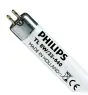 Philips T5 Short 8W - 640 Koel Wit | 29cm