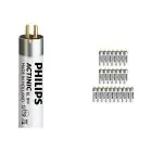 Voordeelpak 25x Philips Actinic BL TL 8W 10 G5